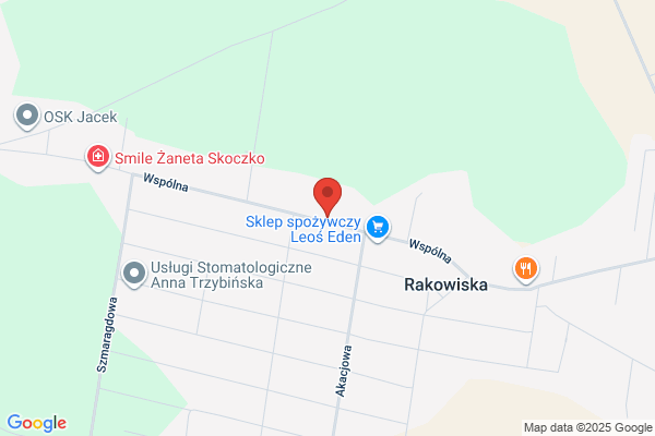 Pietruszewski Dawid. Przedsiebiorstwo handlowo - uslugowe