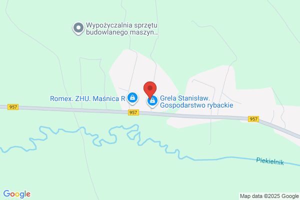 Chowaniec Czeslaw. Przewóz osób