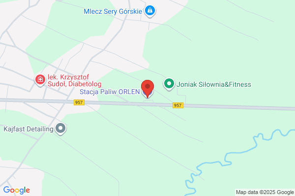 Polski Koncern Naftowy Orlen SA. Stacja paliw