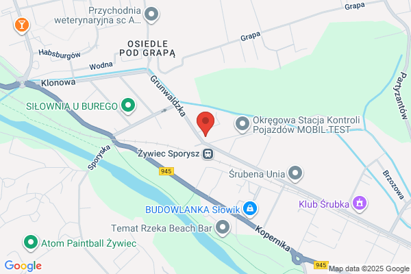 Niepubliczne Liceum Ogólnoksztalcace. Szkola Mistrzostwa Sportowego