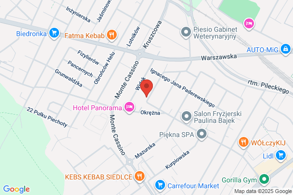 Chalamonski Romuald. Uslugi geodezyjno - kartograficzne