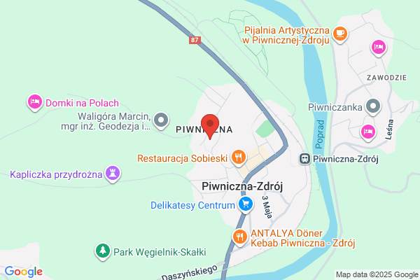 Izworski Jan. Taksówka osobowa