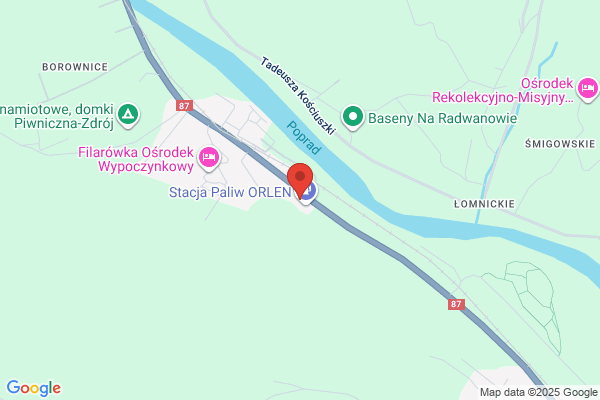 Polski Koncern Naftowy Orlen SA. Stacja paliw