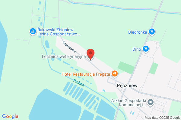 Wojtczak Cezary. Uslugi weterynaryjne