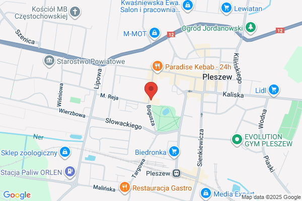 Geodeta. Uslugi geodezyjno - kartograficzne. Derewonko P., Wyduba R.