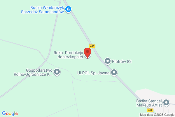 Roko. PPH. Produkcja doniczkopalet i transporterów