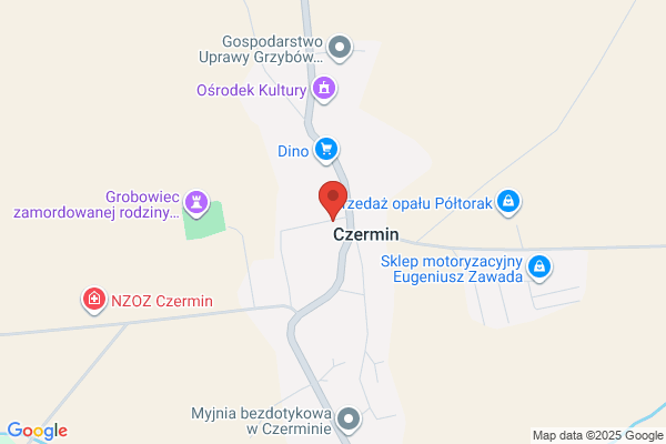 Derezinski Artur. Owoce - warzywa