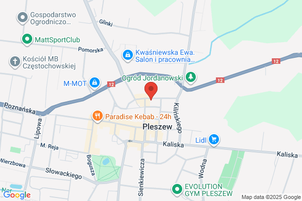 Firma Usługowa Elżbieta Przybylska
