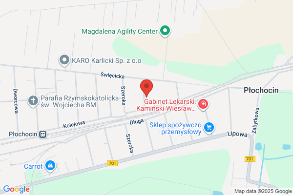Grabkowski Andrzej. Uslugi transportowe