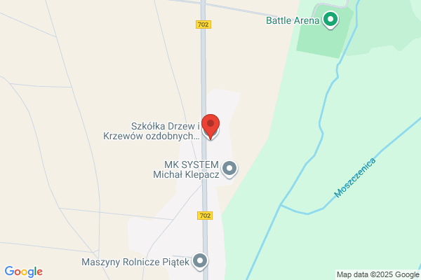 Iglaki. Szkólka drzew i krzewów. Baranowski J.