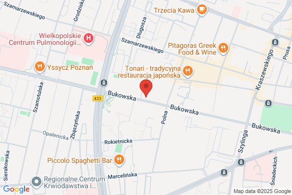 Róza. Kwiaciarnia. Bukowska R.
