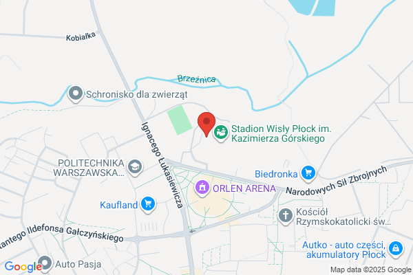 Wisla Plock. Stowarzyszenie Kultury Fizycznej