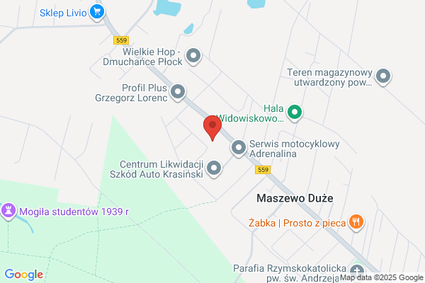 Trojanowski Wladyslaw. Blacharstwo i lakiernictwo pojazdowe
