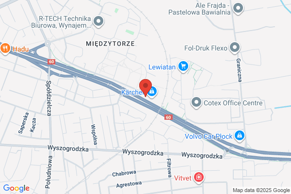 Szkoły Społeczne Płockiego Towarzystwa Oświatowego