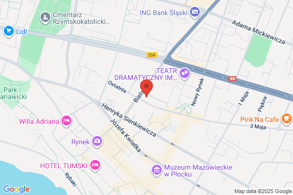 Idea-Ramsat. Autoryzowany przedstawiciel