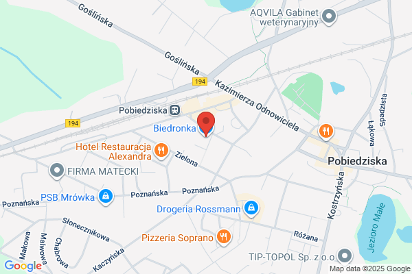 Biedronka. Dyskont spozywczy