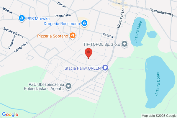 Jesionkowski Andrzej. Magiel elektryczny