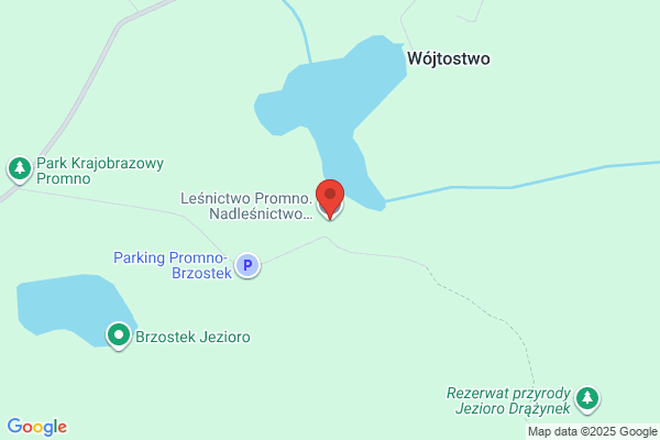Lesnictwo Promno. Nadlesnictwo Czerniejewo