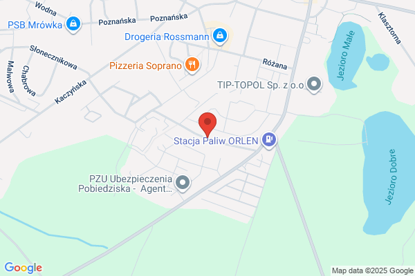 Turnebus. Publiczny transport osobowy