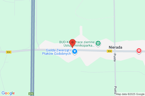 Auto-Mat SC. Automatyczne skrzynie biegów. Pijet W.P.