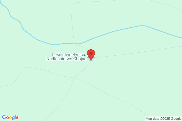 Lesnictwo Rynica. Nadlesnictwo Chojna