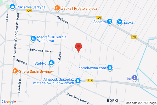 Bartosiewicz Leszek. Uslugi kominiarskie