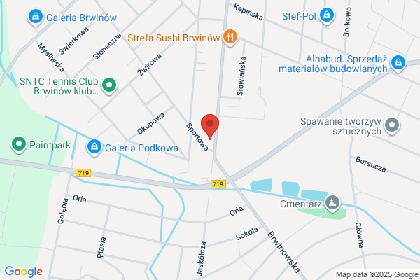 Dartex. Hurtownia rajstop, skarpet i bielizny