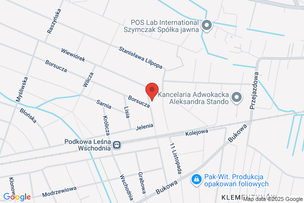 Nowosielska Hanna, artysta plastyk