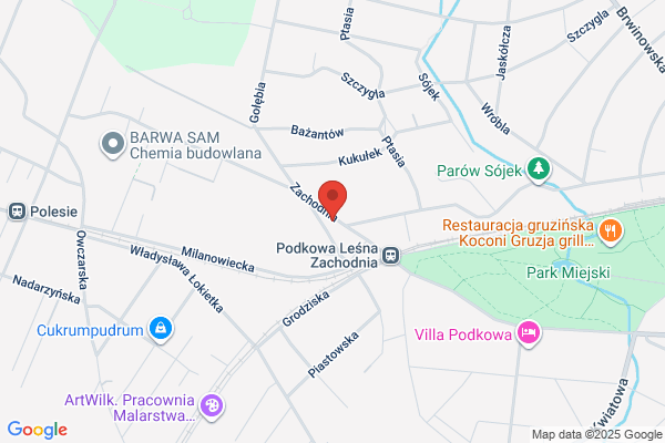 SKCa. Wideoreportaze