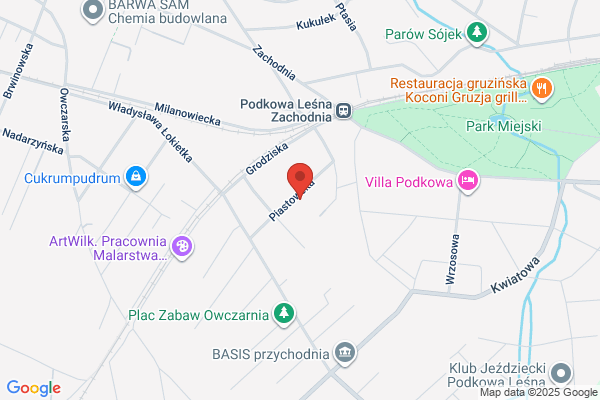 Stadnicka-Dmitriew Zuzanna. Gabinet psychoterapii