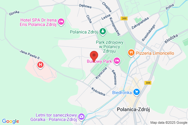 Villa Alina. Medical and Spa - pensjonat w Sudetach