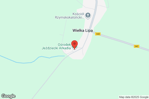 Olszynowy Dwór. Osrodek jezdziecki