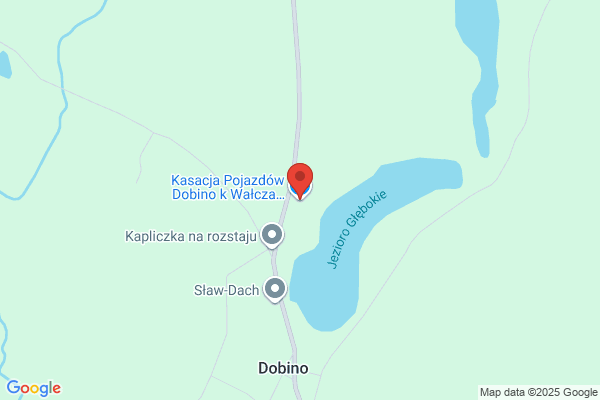 Dzikowska Monika. Autozlomowanie