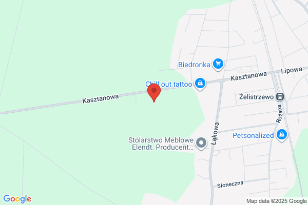 Skojan. Wynajem autokarów w kraju i za granica