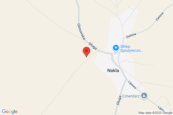 Szkola Podstawowa im. A. Necla