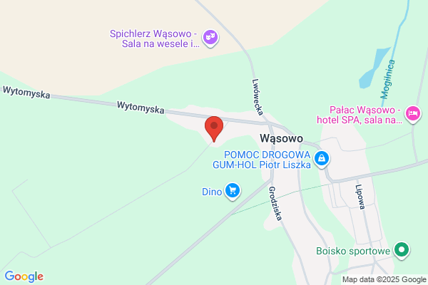Wysocki R. Hodowla psów i koni