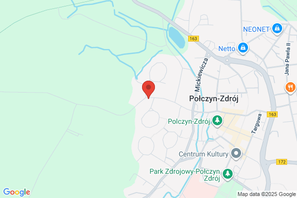 Darex. FHU. Elektryka i elektronika samochodowa Dziubak D.