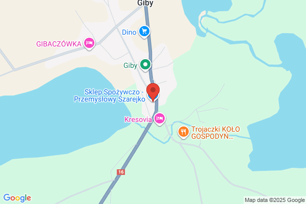 Giejbo Henryk. Sklep spozywczo - przemyslowy