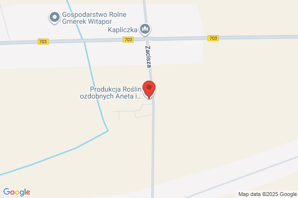 Orlinski Zenon. Produkcja róz i krzewów ozdobnych