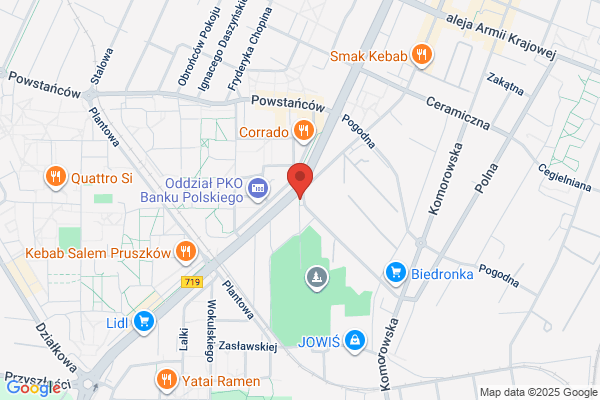 Golasiewicz Pawel. Kamieniarstwo budowlane. Nagrobki. Rzezba