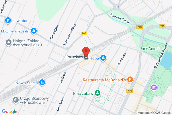 Stokrotka. Kwiaciarnia. Kwapiszewski W.