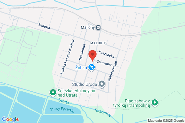 Micro. Polisiakiewicz P.