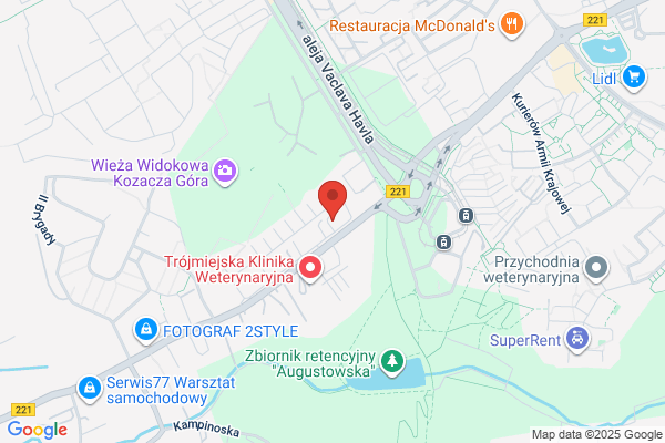 Bunda Piotr. Warsztat samochodowy