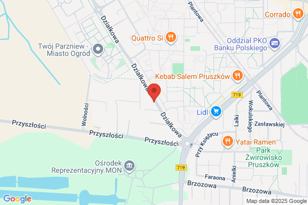 Automyjnia, pranie tapicerki, opony