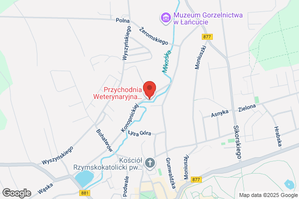 Centaur. Przychodnia weterynaryjna. Topolski M.