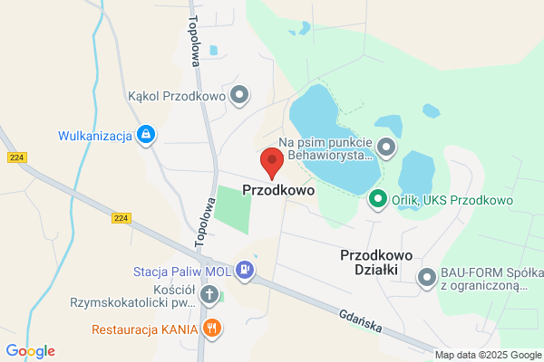 Gora. PPH. Tynki gipsowe maszynowe