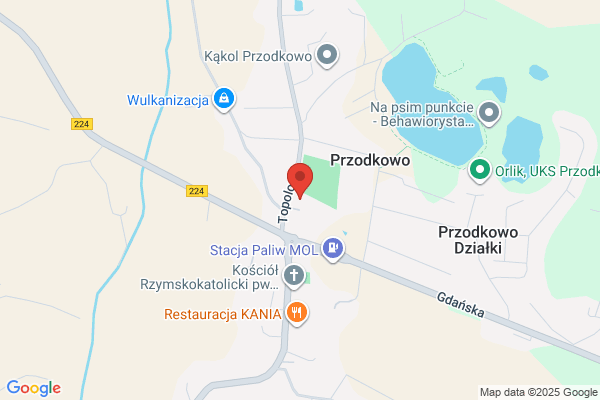 Jarecka Lucyna. Kwiaciarnia