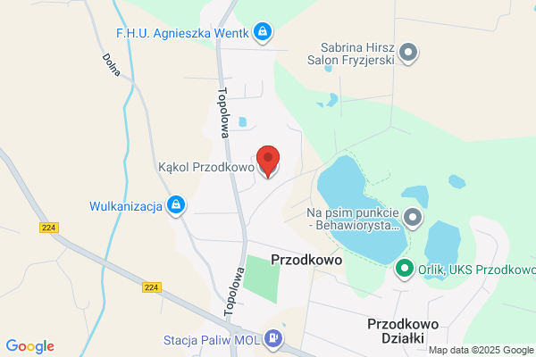 Kakol Tadeusz. Maszyny rolnicze, samochody retro, wynajem limuzyn