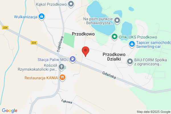 Pielowski Zdzislaw. Uslugi transportowe