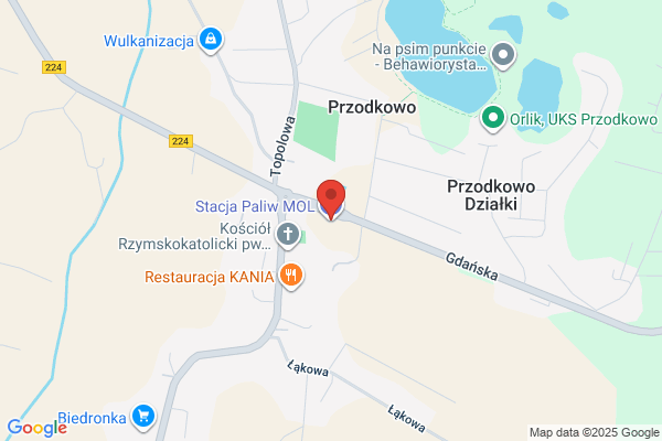 Polski Koncern Naftowy Orlen SA. Stacja paliw
